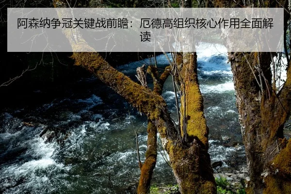 阿森纳争冠关键战前瞻：厄德高组织核心作用全面解读